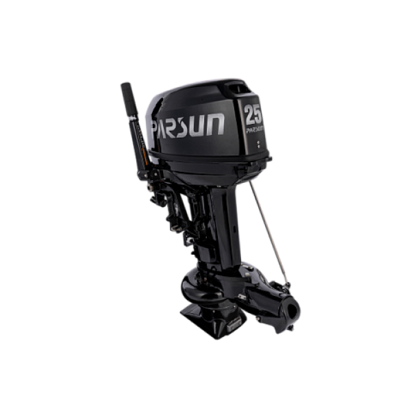 PARSUN TP25BM JET в Сыктывкаре